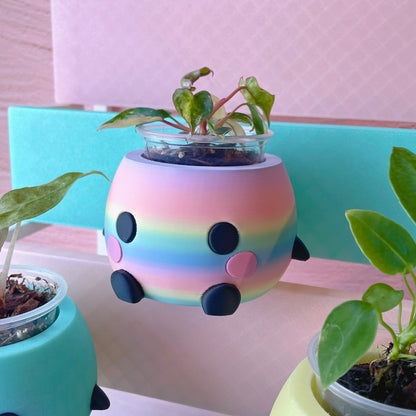 Small Garden Friend Celestial Macaron Plant Pot // Drainage Included!