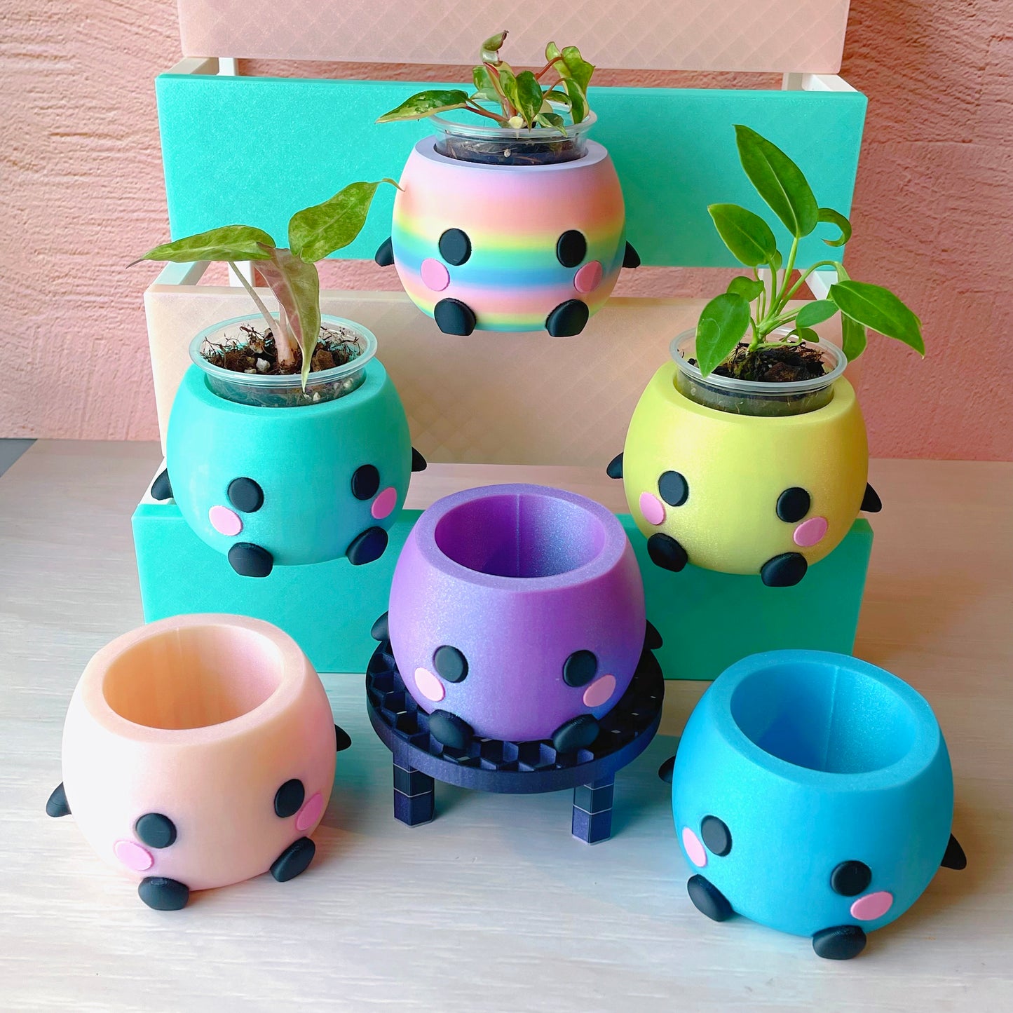 Small Garden Friend Celestial Macaron Plant Pot // Drainage Included!