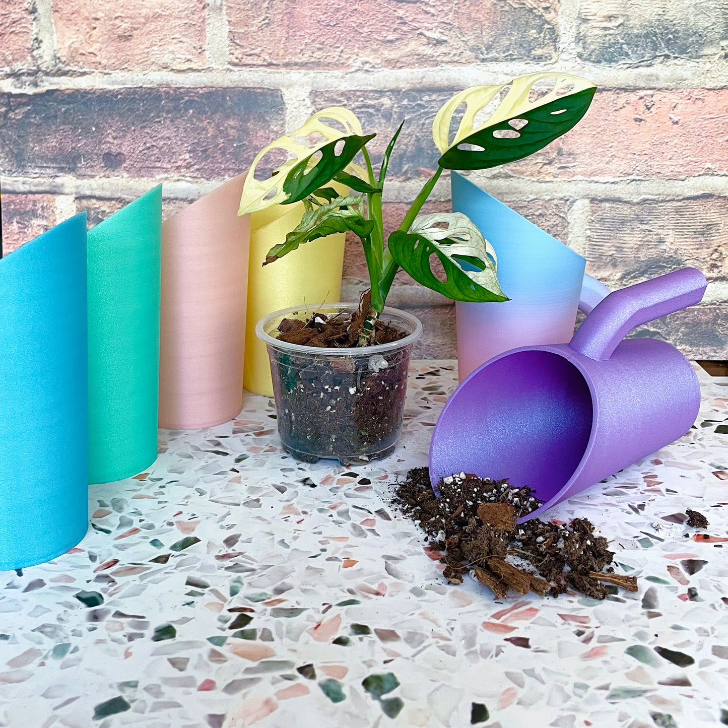 Celestial Rainbow Soil Scoops // Choose Your Color!