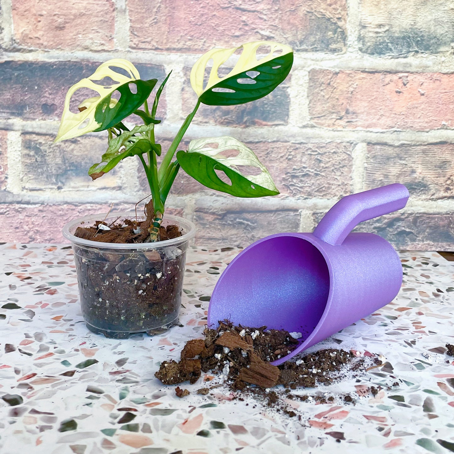Celestial Rainbow Soil Scoops // Choose Your Color!