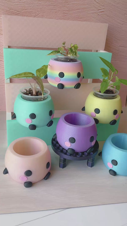 Small Garden Friend Celestial Macaron Plant Pot // Drainage Included!